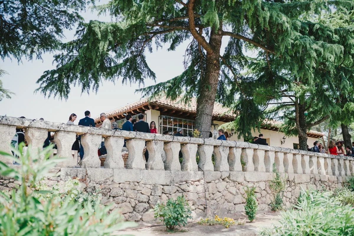 La Finca · photo 2