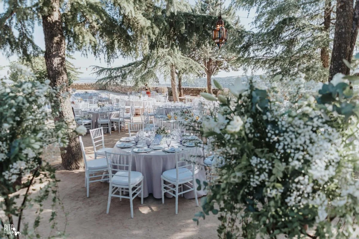 Weddings · photo 1